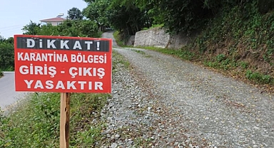 Akyazı’da Şap Karantinası Başlatıldı