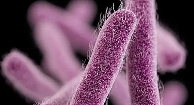 Bilim insanlarından yeni salgın uyarısı: Binlerce yıllık patojenler her an yeryüzüne çıkabilir