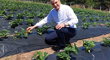 Bu yıl üretim hedeflerimizin üzerine çıkacağız