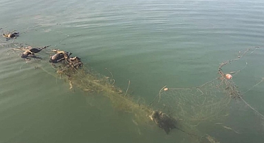 Sapanca Gölü Dibinden Ağ Ve Kasnak Toplandı