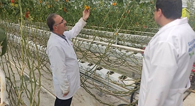 Arifiye Kaymakamı Bekir Dınkırcı Seracılık Mükemmeliyet Merkezinde İncelemelerde Bulundu