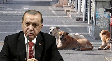 Cumhurbaşkanı Erdoğan başıboş köpek sorunuyla ilgili konuştu