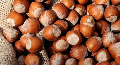 Fındık fiyatlarında son durum