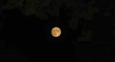 Sakarya’da Süper Ay Şöleni