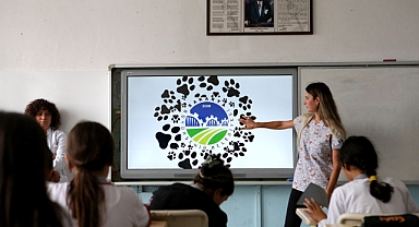 Sizi kuduz tehlikesinden uzaklaştıracak altın kurallar!