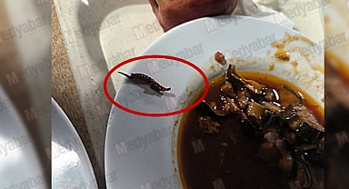 Bu Seferde Böcek Vakası