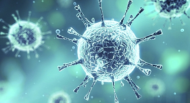 X virüsü, Covid-19'dan 20 kat daha ölümcül