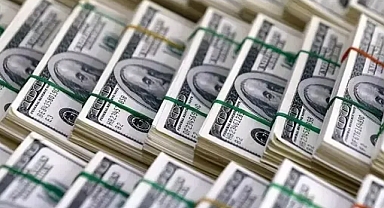 Dolar 31 TL'ye dayandı