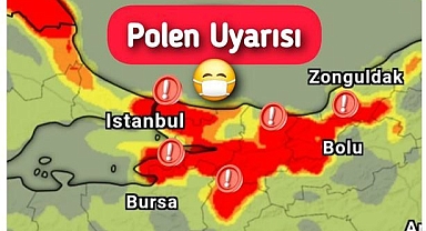 Marmara Bölgesi’nde polen alarmı! 