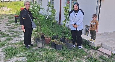 Başkan Şahin’e Hediye Edilen Fidanlar, Sapanca’yı Yeşillendirmeye Başladı