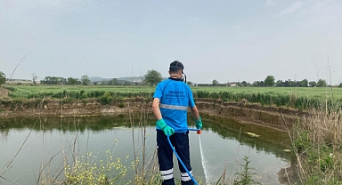 Büyükşehir, Haşere ve Vektörlere Karşı Mücadele Başlattı