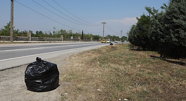 Arifiye'de Gölbaşı Yolu Boyunca Mıntıka Temizliği Yapıldı