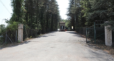 İl Ormanı Arifiye Girişi Açıldı