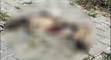 Arifiye’de 3 Can Kıyıldı?