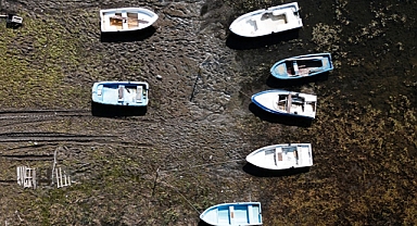 Sapanca Gölü'nde tedirgin eden görüntü