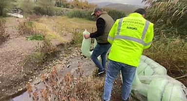 Sapanca Gölü'nde Akaryakıt Sızıntısı Alarmı!