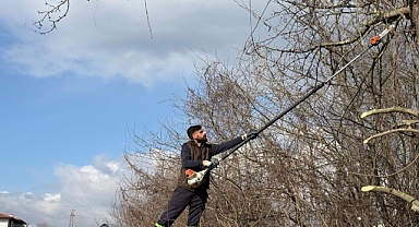 Arifiye Belediyesi’nden Yol Güvenliği İçin Budama Çalışması