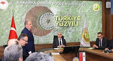 Sakarya’da Ormanda Ateş, Piknik ve Konaklama Yasaklandı! İşte Alınan Yangın Önlemleri