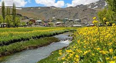 Sakarya'ya Bahar Coşkusu Geliyor: Güneşli Bir Hafta Sonuna Hazır Olun!