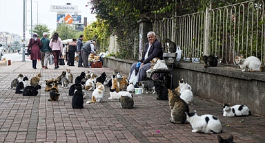 Canilik Kameraya Değil Vicdana Takıldı: Hayvanlara Makineyle İşkence!