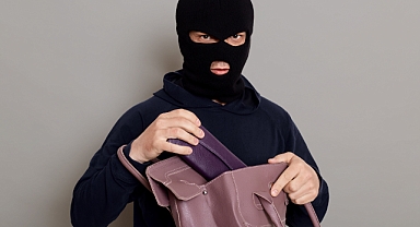 Hırsız, Elini Kolunu Sallayarak Sakarya' ya Geldi: Mezuniyet Yalan Oldu!