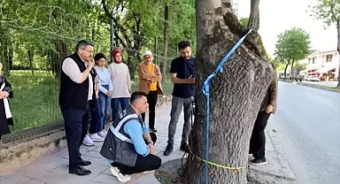 Sakarya Büyükşehir’den Ağaçlara Yüksek Teknolojiyle Sağlık Taraması