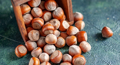 Sakarya’da Fındık Dondu, Fiyatlar Alev Aldı!