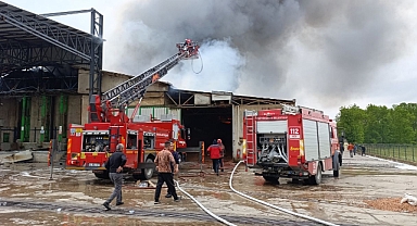 Sakarya’da Fındık Kırım Fabrikası Alevlere Teslim Oldu!