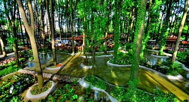 Sakarya'da Ormanlara Girişler Yasaklandı!