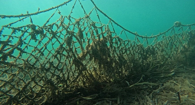 Sapanca Gölü’nde Doğaya Tuzak Kuruldu, Ekipler Zamanında Yetişti!