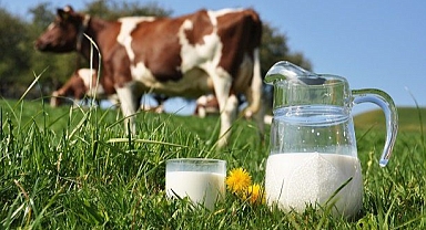 Süt Sektöründe Rekabet Soruşturması: Sakarya'dan 3 Firma İnceleniyor