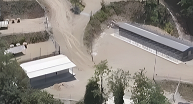 Arifiye'de Sokak Hayvanlarına Modern Barınak!