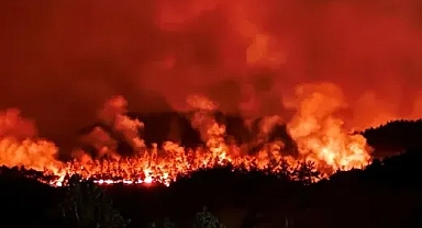 Sakarya ve Bilecik'e Sıçrayan Alevlerin Arkasında Ne Var? Jandarma Açıkladı!