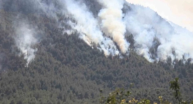 12 Helikopter, 6 Uçak, Yüzlerce Kişi: Geyve’de Orman Yangını Hâlâ Kontrol Altına Alınamadı!