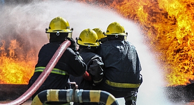 Adapazarı’nda Doğa Yanıyor: Yangın Nedeni İhmal ve Bilinçsizlik