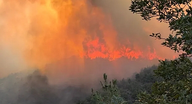 Alevler Hendek İlçesini Kıskıvrak Sardı, Bırakmıyor! Kritik Mücadele Sürüyor!