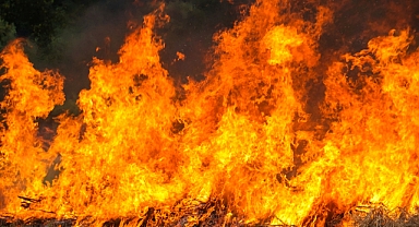 Arifiyemizde Korkutan Yangın! Neviye Mahallesi’nde Alevler Paniğe Neden Oldu!