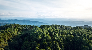 Ateşe Geçit Yok: Sakarya’da Ormanlara ve Havai Fişeklere Yasak