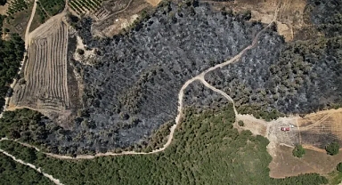 Beş Gündür Süren Alevler Uydudan Görüntülendi: Doğa Büyük Darbe Aldı