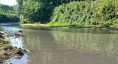 Bu Su Hayat Değil, Tehlike Taşıyor: Mudurnu Deresi Kirlilikle Boğuşuyor