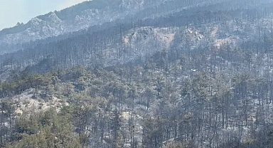 Geyve’deki Yangında 2 Bin 100 Futbol Sahası Kadar Alan Kül Oldu