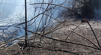 İşte Arifiyemizin Neviye Mahallesi'nde Bugün Yüreğimizi Yakan Yangının Görüntüleri...