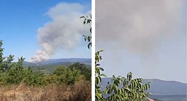 Sakarya Alev Alev: Geyve’den Sonra Bu Kez Hendek!