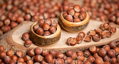 Sakarya’da Fındıkta 2025 Beklentisi: 73 Bin Ton Üretim, Yevmiye 1200 TL