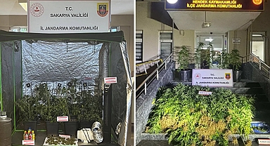 Sakarya'da Gizli Tarlalar, Gizli Sistemler: Uyuşturucu Üretimine Baskın