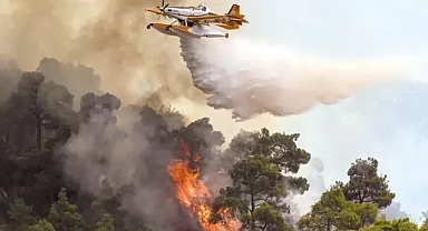 Sakarya Göz Ardı Mı Ediliyor? Afet Statüsü Tartışması Gündemde!