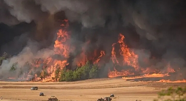 Sakarya Kavruluyor: Hissedilen Sıcaklık 43 Derece! Yağmur Yok, Yangınlar Devam Ediyor