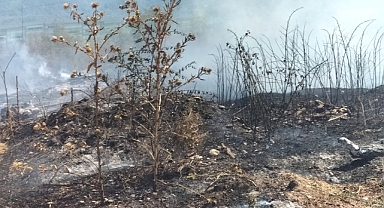 Sakarya Tekrar Yanıyor: Bu Sıcaklarda Yangınlar Kaçınılmaz Oldu