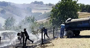 Samanlıkta Kıvılcım Kıyamete Dönüyordu! 20 Dönüm Kül Oldu