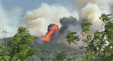Sınır Bölgesinde Alev Alarmı! Ekipler Zamanla Yarışıyor